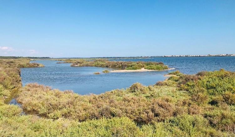 Le Nautica Plage T2 Climatise En Bord De Mer فرونتينيان المظهر الخارجي الصورة