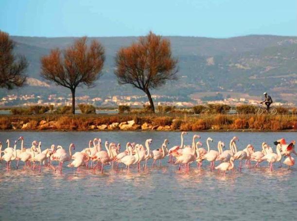 Le Nautica Plage T2 Climatise En Bord De Mer فرونتينيان المظهر الخارجي الصورة